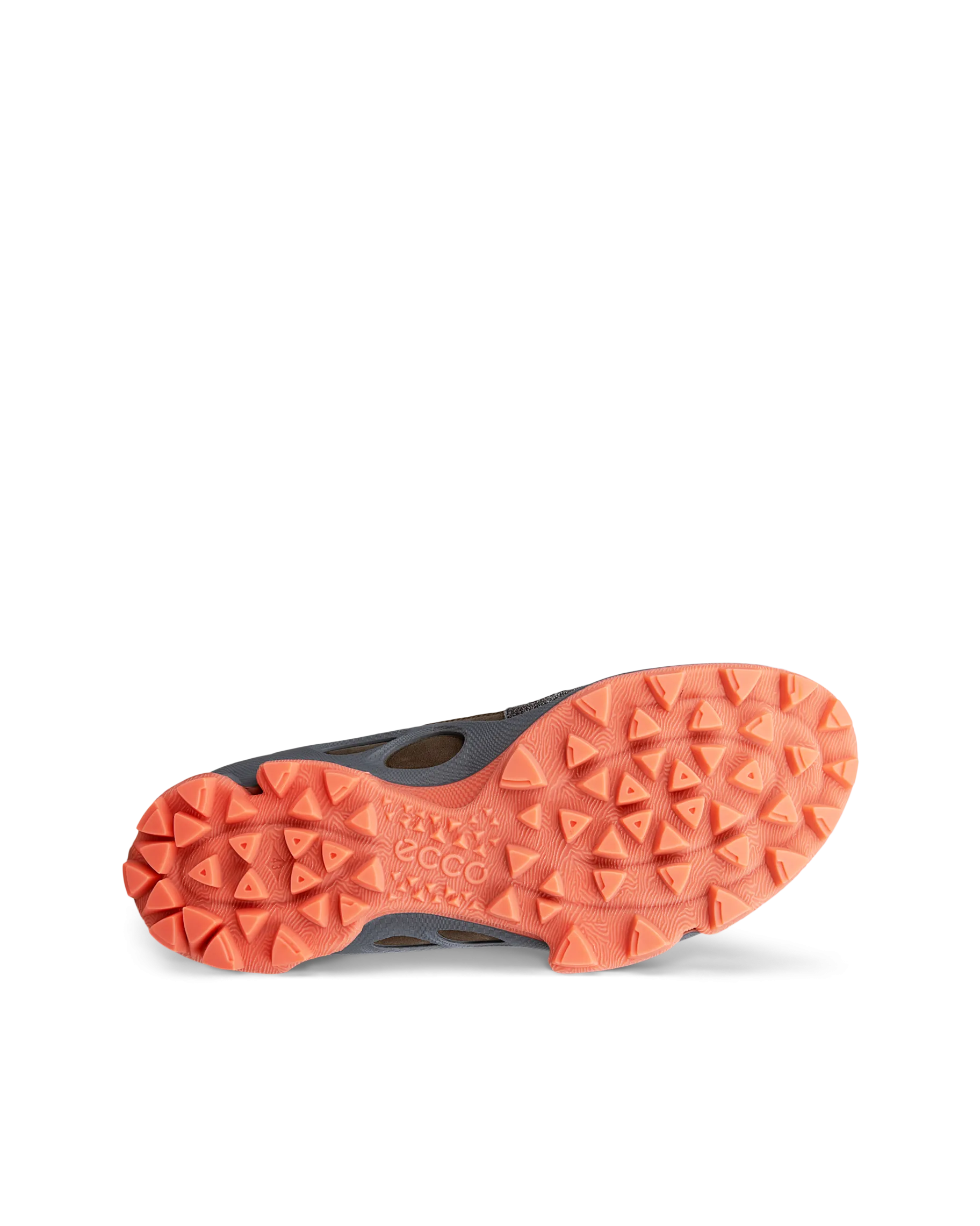 ECCO BIOM C-TRAIL M