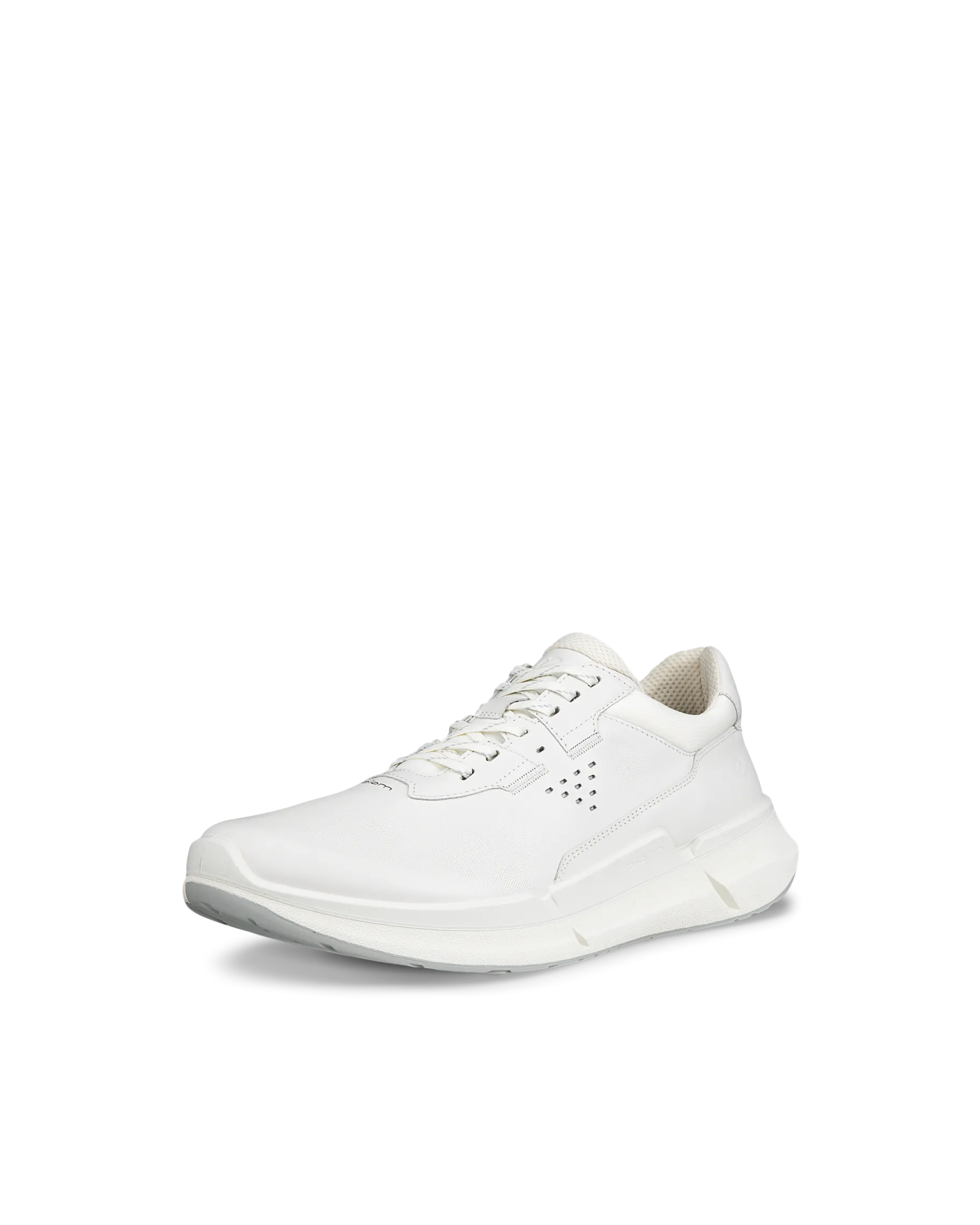 ECCO BIOM 2.2 M