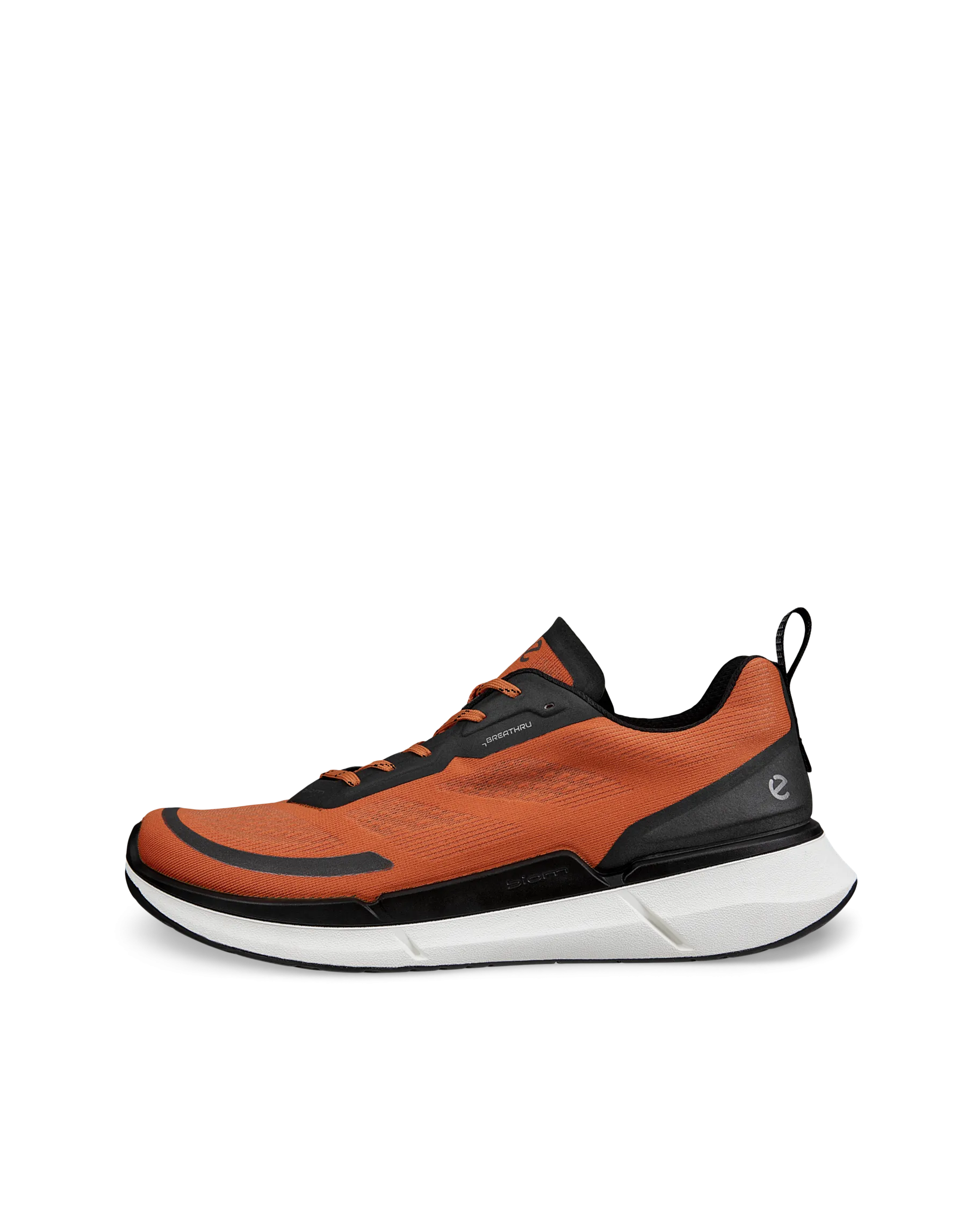 ECCO BIOM 2.2 M