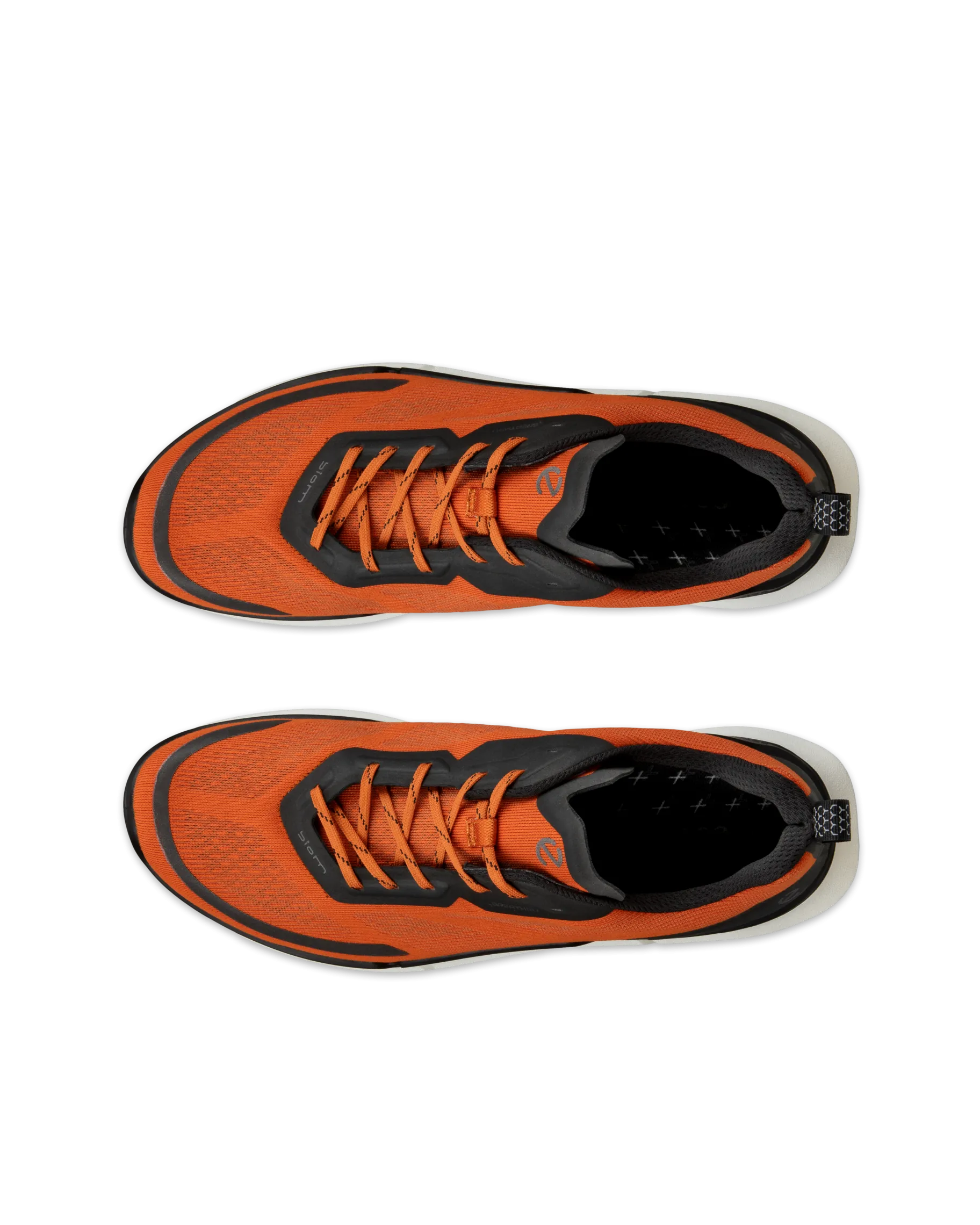 ECCO BIOM 2.2 M
