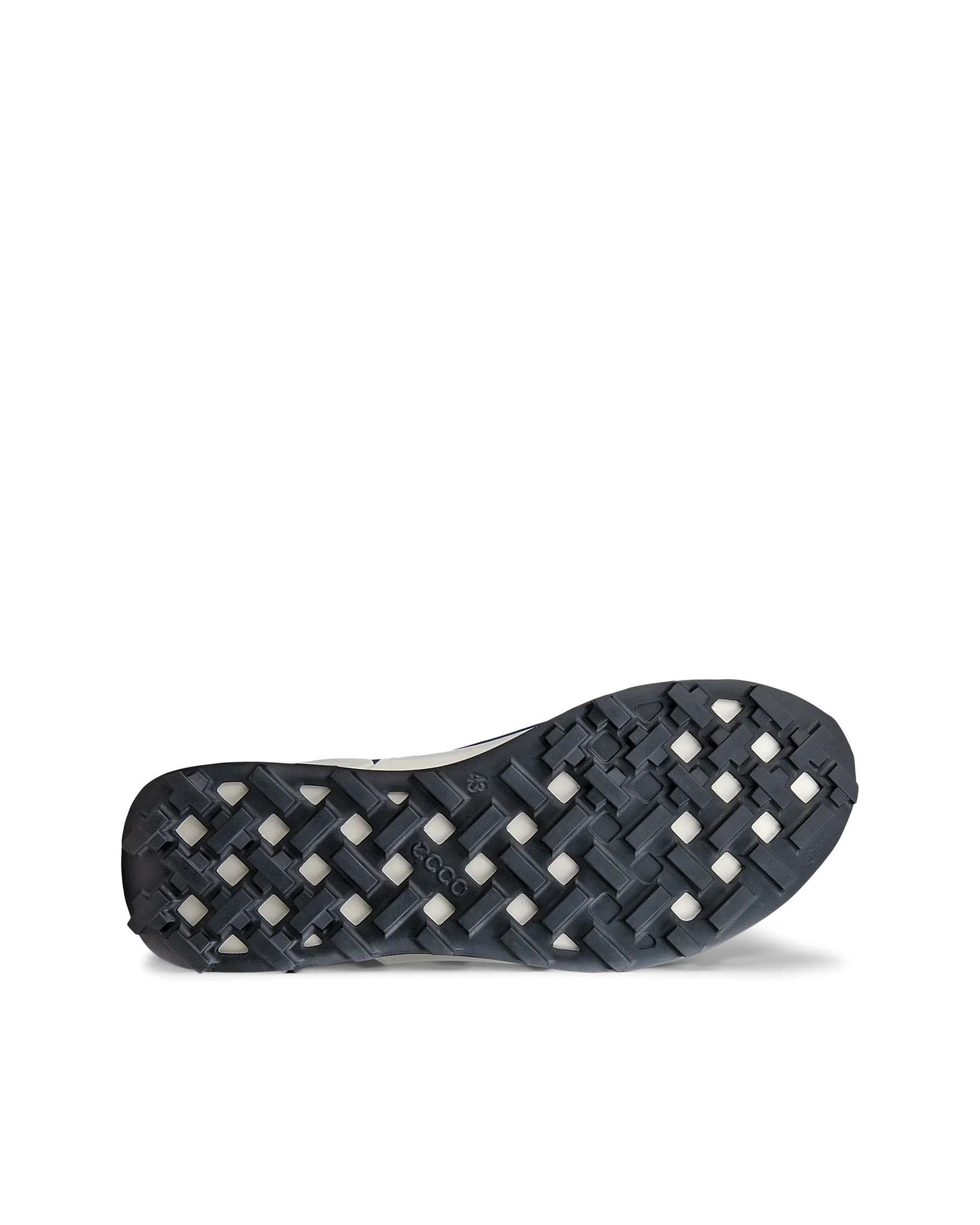 ECCO BIOM 2.1 X MOUNTAIN M