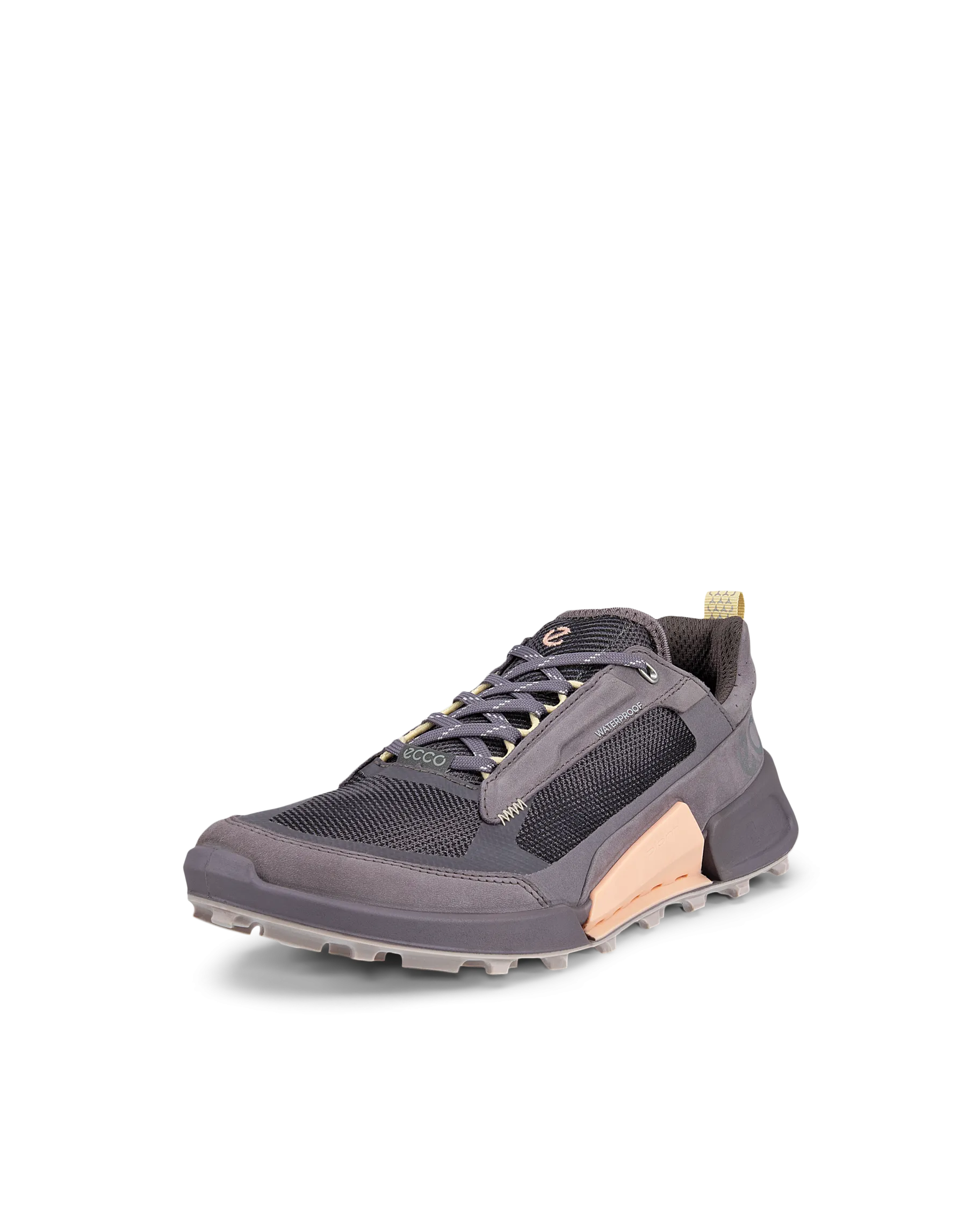 Dame ECCO BIOM 2.1 X MOUNTAIN W
