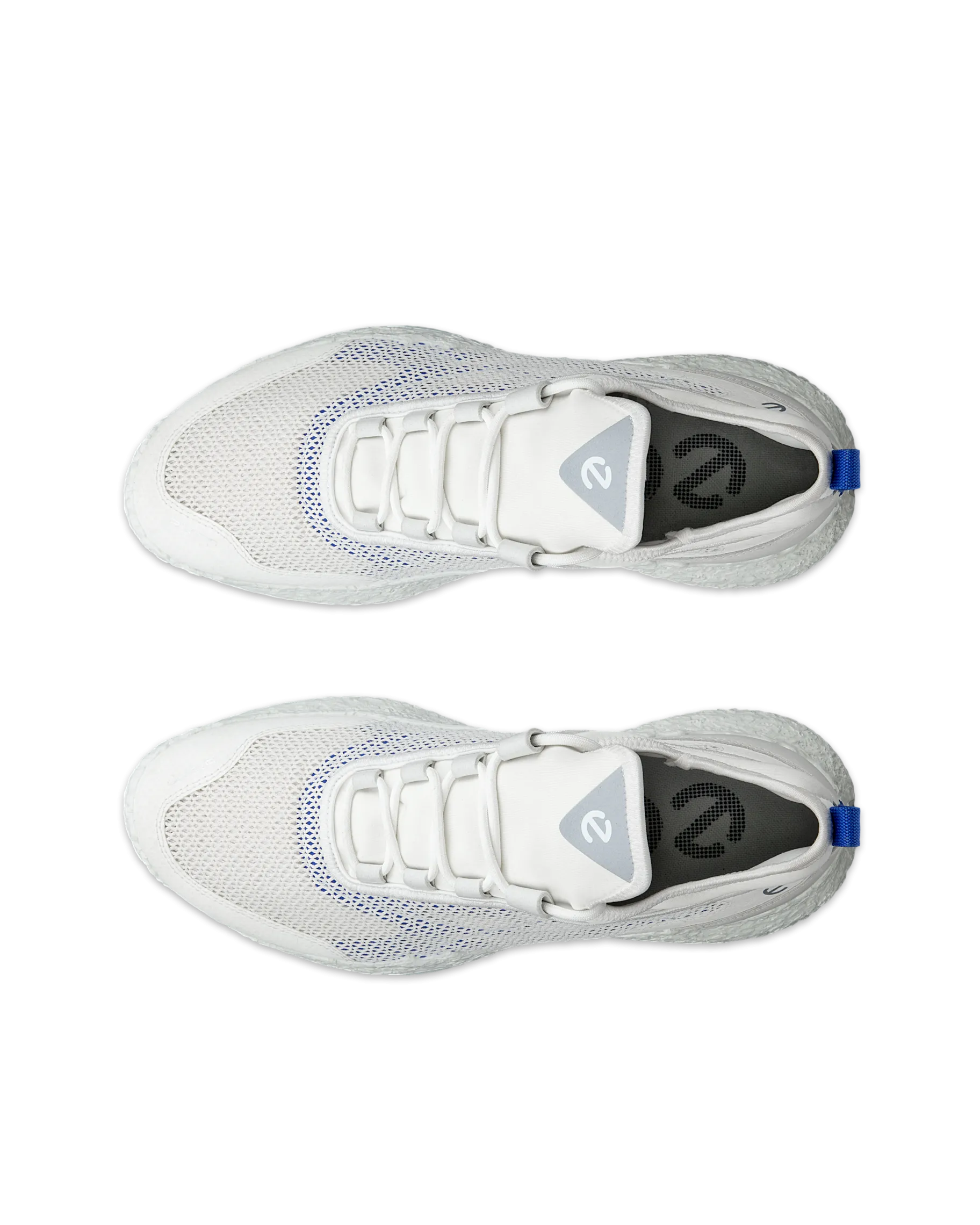ECCO M GOLF BIOM H5